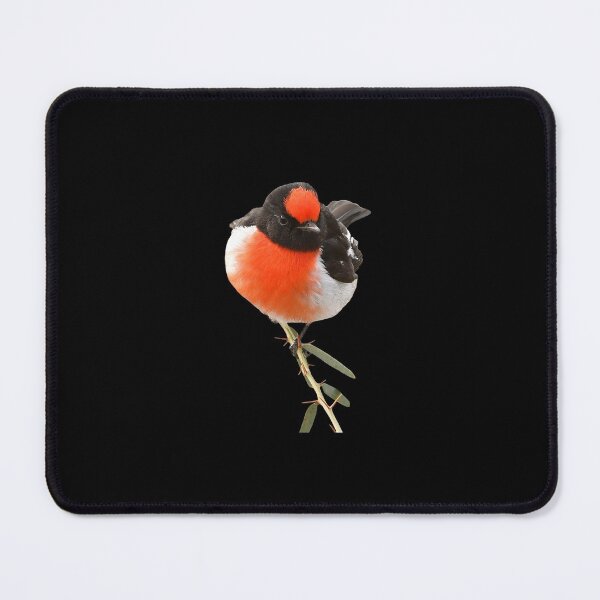 Item preview, Red-capped Robin 11 designed and sold by quentinjlang.