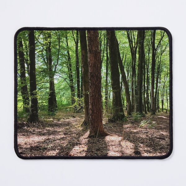 Item preview, Beacon Hill Woods designed and sold by JonDelorme.