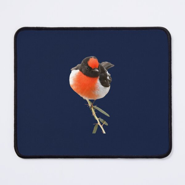 Item preview, Red-capped Robin 12 designed and sold by quentinjlang.
