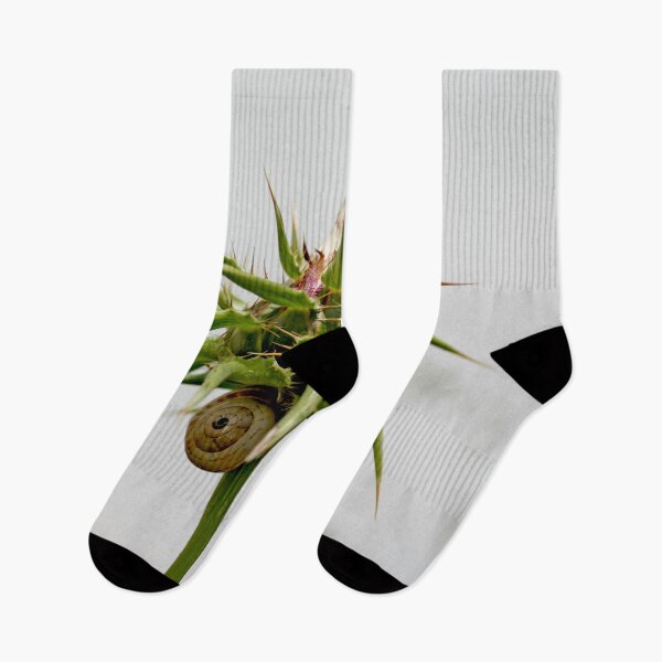 Item preview, Thistle bud and snail designed and sold by Anna Lemos.