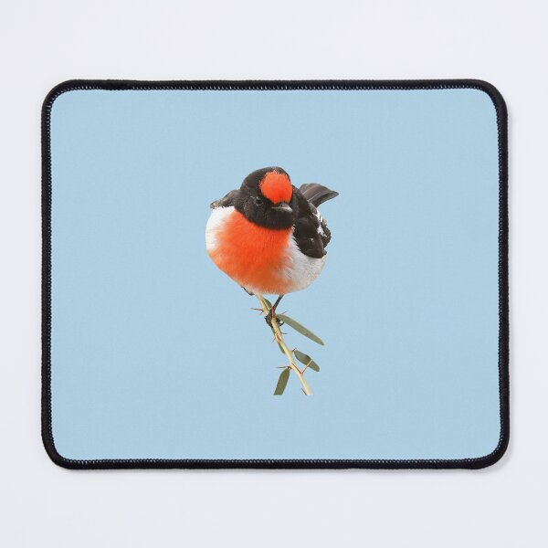 Item preview, Red-capped Robin 13 designed and sold by quentinjlang.