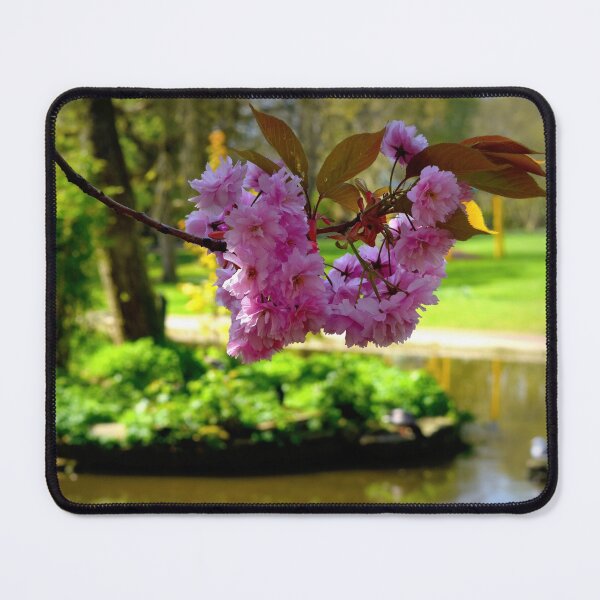 Item preview, Collett Park Blossoms designed and sold by JonDelorme.