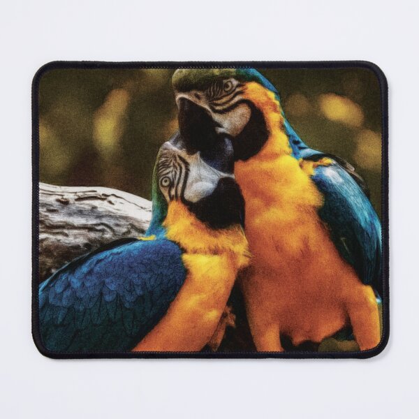Item preview, Beautiful Parrots Couple designed and sold by StarsForgers.
