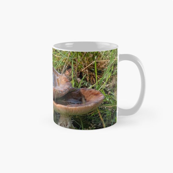 Item preview, Two Amanita rubescens in forest designed and sold by Photopat.