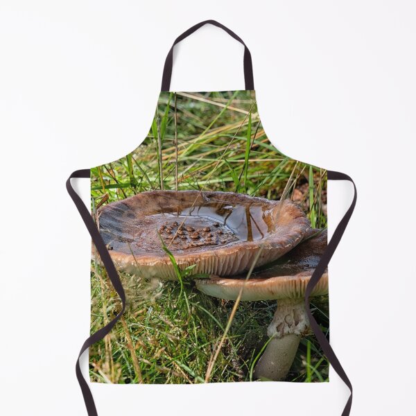 Item preview, Two Amanita rubescens in forest designed and sold by Photopat.