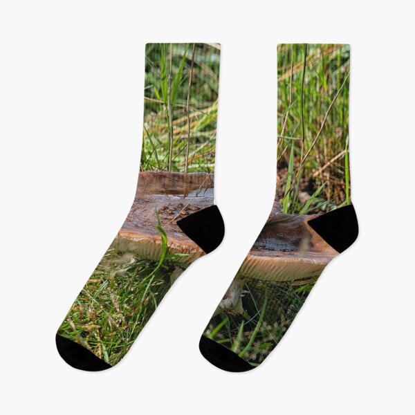 Item preview, Two Amanita rubescens in forest designed and sold by Photopat.