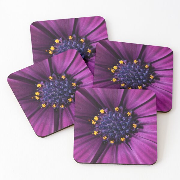 Item preview, Cape Daisy designed and sold by SharonJ.