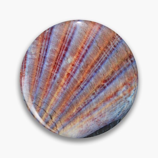 Item preview, Scallop Shell on the Sand designed and sold by Anna Lemos.