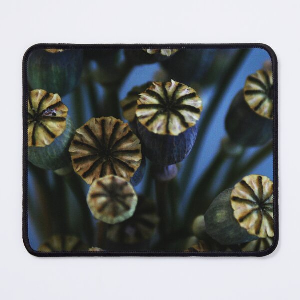 Item preview, Poppy Flower Pods Boquet designed and sold by Anna Lemos.