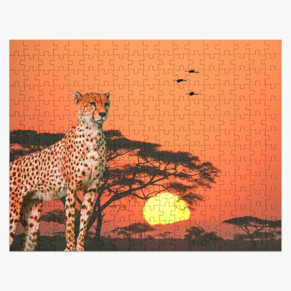 The Cheetah Jigsaw Puzzle
