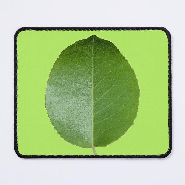 Item preview, Vivid Green Leaf designed and sold by hatimelhag.