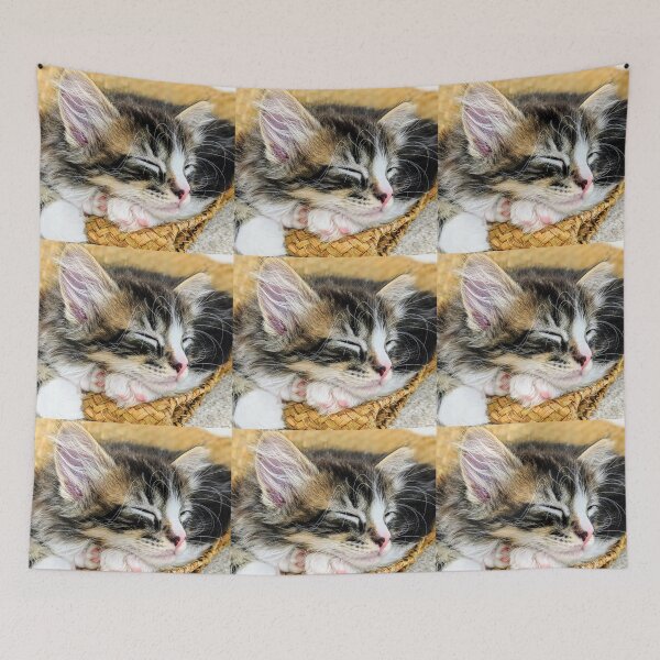 Item preview, Tabby ragdoll Norwegian forest kitten designed and sold by Fluffycat2020.