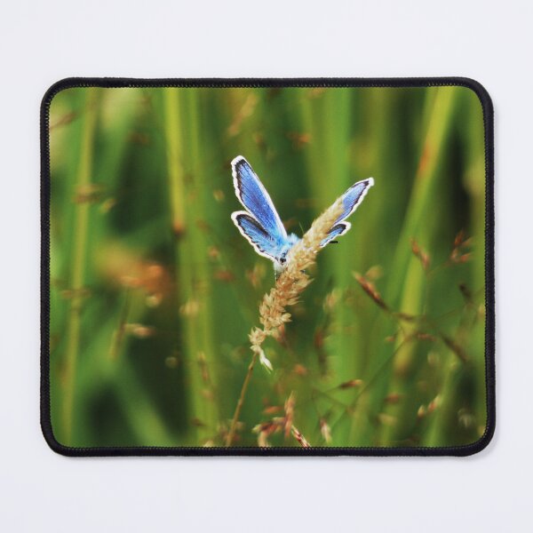 Item preview, Blue butterfly designed and sold by Erica Creutz.