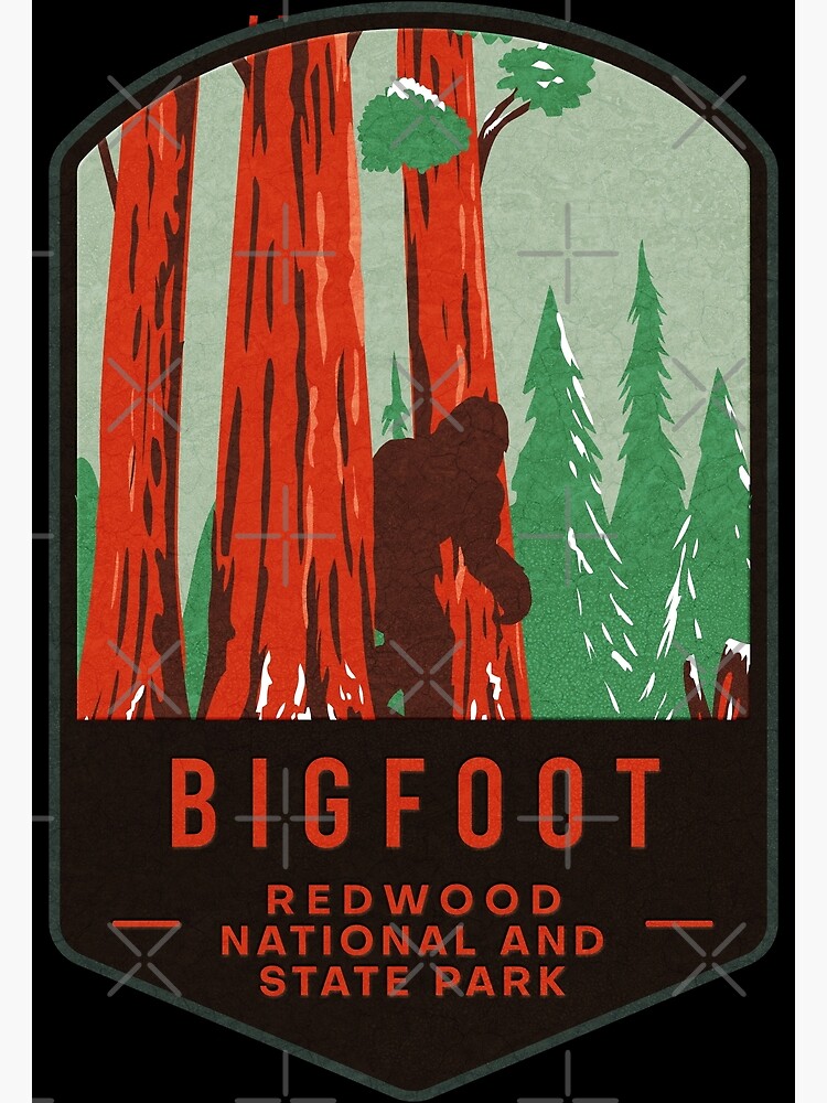 Bigfoot Found in the Redwoods