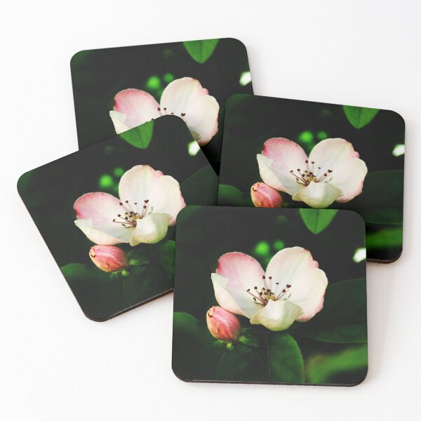 Item preview, Quince Pink Flower and Bud designed and sold by Anna Lemos.