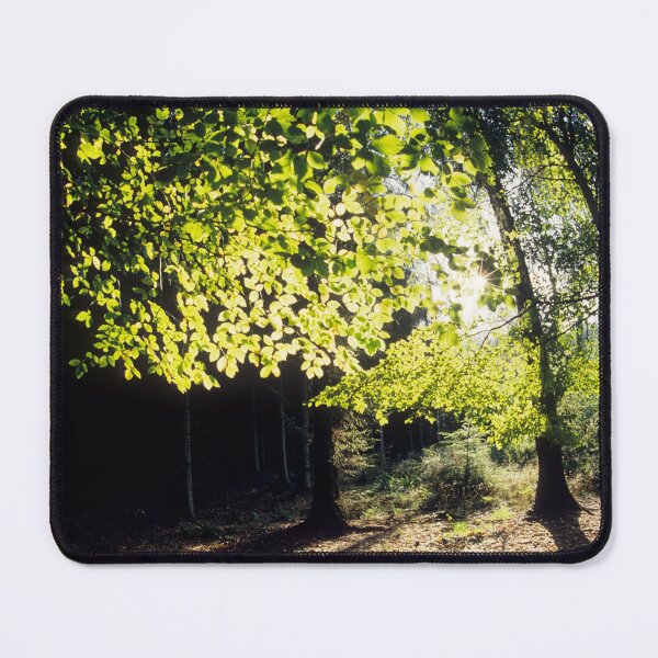 Item preview, Spring Trees, forest woodland views designed and sold by JonDelorme.