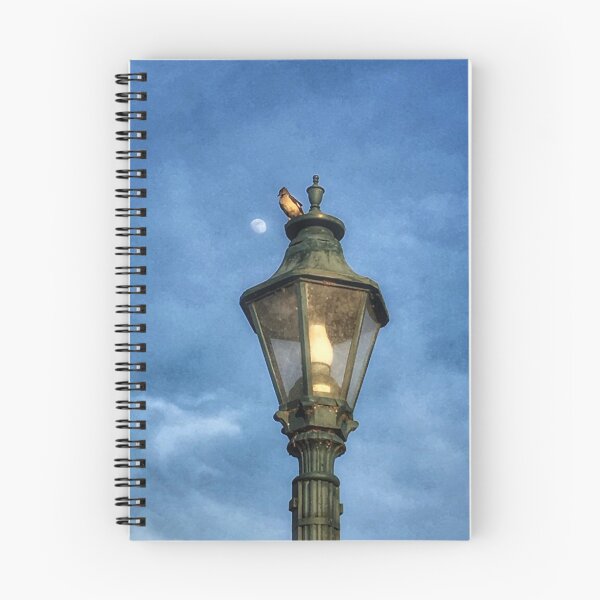 Item preview, Bird on Lamp  designed and sold by mkmfeagler.
