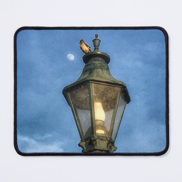 Item preview, Bird on Lamp  designed and sold by mkmfeagler.