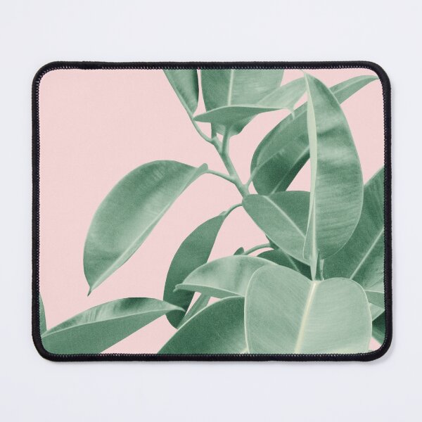 Item preview, Ficus Elastica Soft Green Glam #2 #tropical #decor #art  designed and sold by Anita's & Bella's Art.
