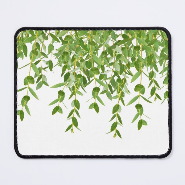 Item preview, Eucalyptus Garland Finesse #1 #foliage #decor #art designed and sold by Anita's & Bella's Art.