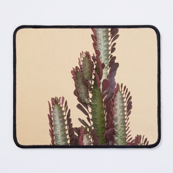 Item preview, Rubra Cactus Delicado #1 #tropical #wall #decor #art designed and sold by Anita's & Bella's Art.