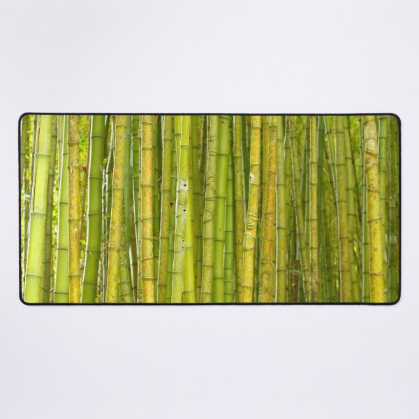 Item preview, Bamboo forest designed and sold by Gaspar Avila.