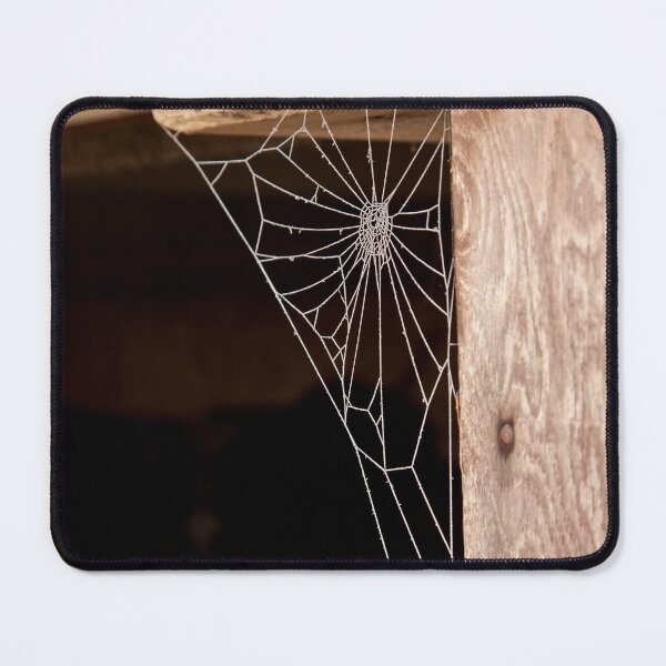 Item preview, Frosty Cob Web designed and sold by Dalyndigital Photography.