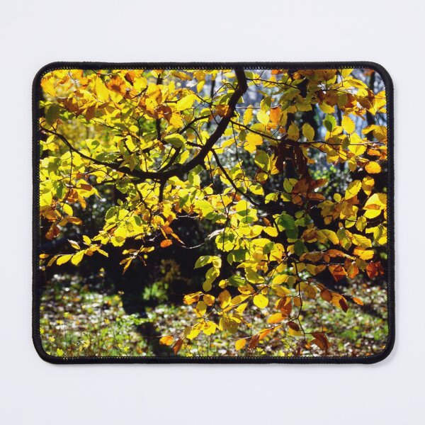 Item preview, Tree Canopy, Fall Colours, English Woods designed and sold by JonDelorme.