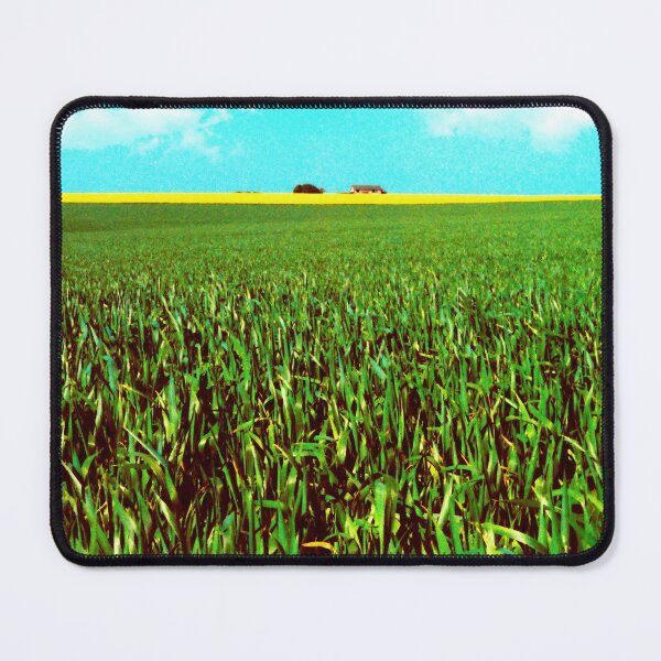 Item preview, Oil Seed Crop, Wiltshire Salisbury Plain Landscape designed and sold by JonDelorme.