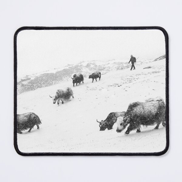 Item preview, Yaks in the snow designed and sold by Geoff Shoults.