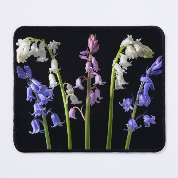Item preview, Bluebells Whitebells Pinkbells.Pretty Spring Flowers Macro Studio Photo designed and sold by JonDelorme.
