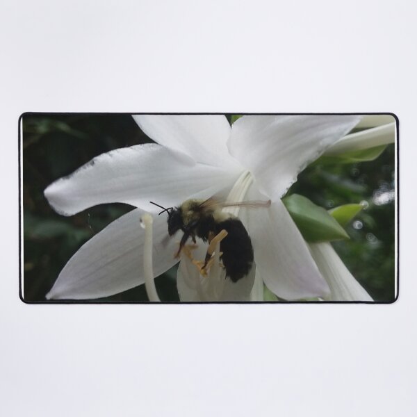 Item preview, Hosta bee designed and sold by edwardtiptonart.
