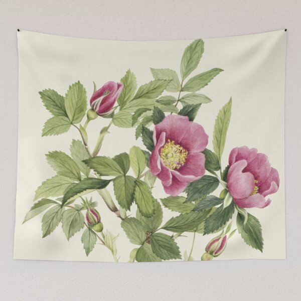Aperçu de l'œuvre Bourgeon Rose Illustration Aquarelle créée et vendue par JoyforU.