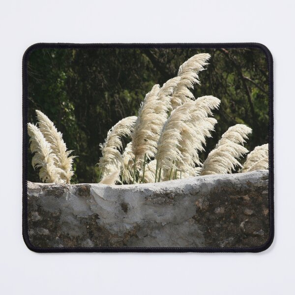 Item preview, Flowering Pampas Grass Plumes Garden Wall designed and sold by Anna Lemos.