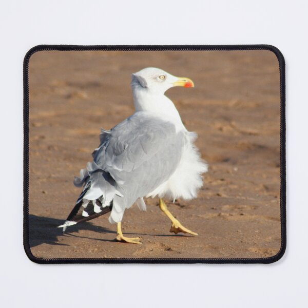 Item preview, Seagull in a windy day with ruffled feathers designed and sold by Anna Lemos.