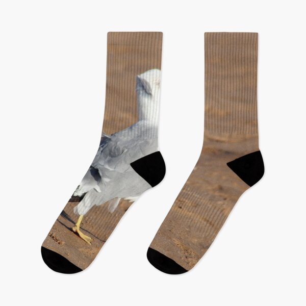 Item preview, Seagull in a windy day with ruffled feathers designed and sold by Anna Lemos.