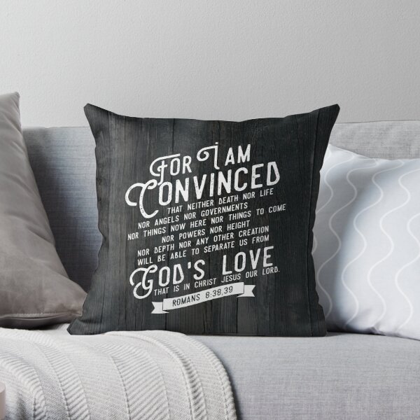 Inspirational Bible Quotes Throw Pillows 18x18 Set 