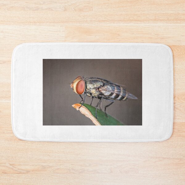 Item preview, Macro photo of fly with big red eyes on a perch designed and sold by Geoff Wols.