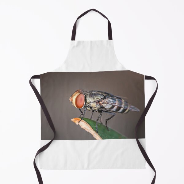 Item preview, Macro photo of fly with big red eyes on a perch designed and sold by Geoff Wols.