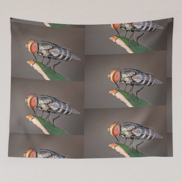 Item preview, Macro photo of fly with big red eyes on a perch designed and sold by Geoff Wols.