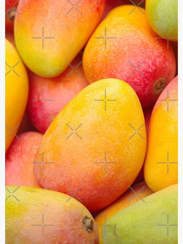 Thumbnail 3 of 3, Journal, Mango Fruit Pattern designed and sold by IDI69.