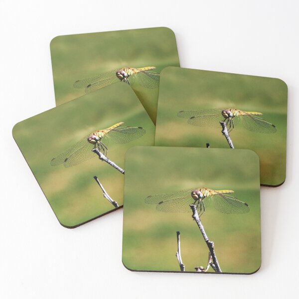 Item preview, Dragonfly on a Stick designed and sold by Anna Lemos.
