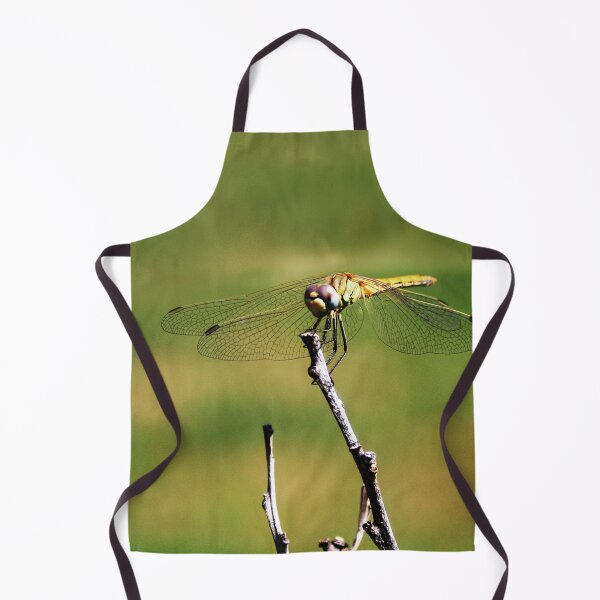 Item preview, Dragonfly on a Stick designed and sold by Anna Lemos.