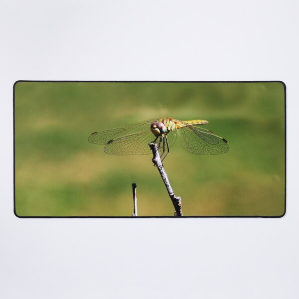 Item preview, Dragonfly on a Stick designed and sold by Anna Lemos.