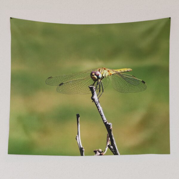 Item preview, Dragonfly on a Stick designed and sold by Anna Lemos.