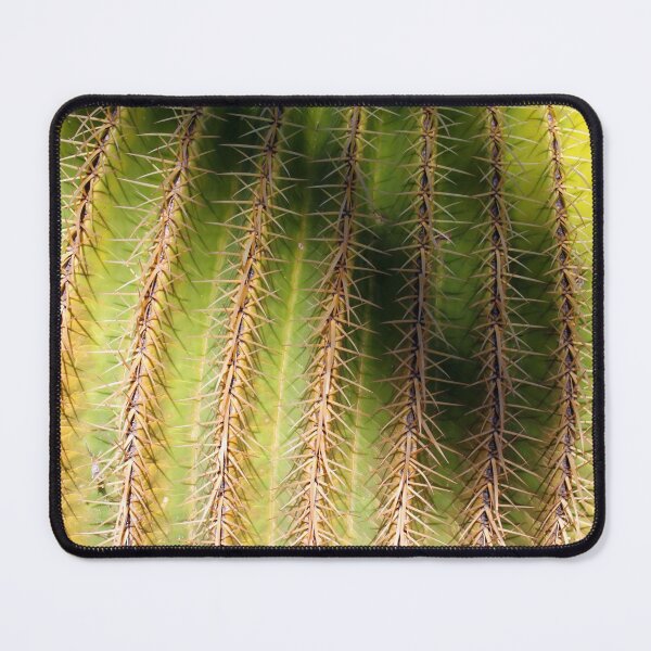 Item preview, Bed of Nails designed and sold by JonDelorme.