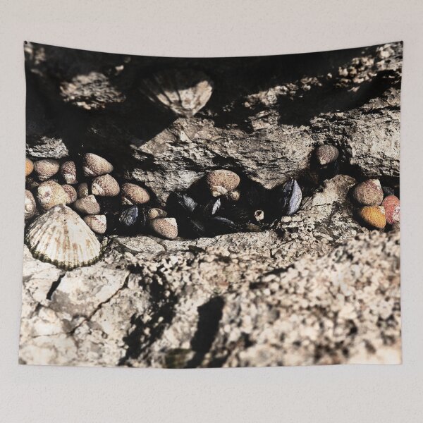 Item preview, Waiting for the tide designed and sold by Anna Lemos.