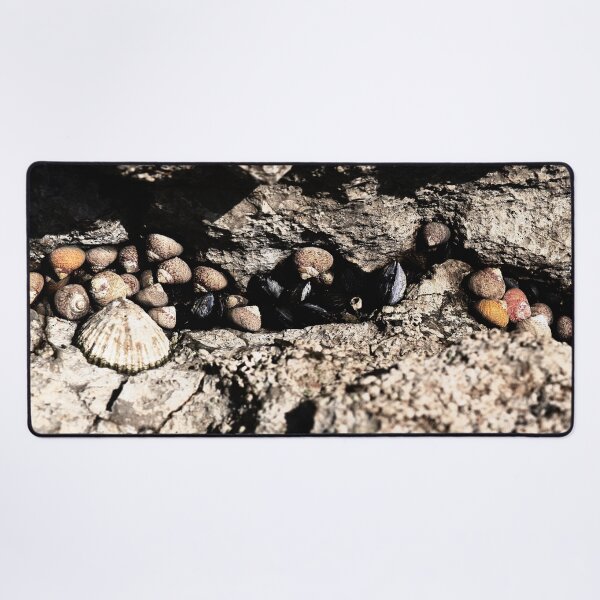 Item preview, Waiting for the tide designed and sold by Anna Lemos.
