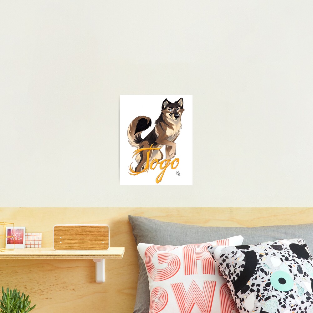 Togo Photographic Print