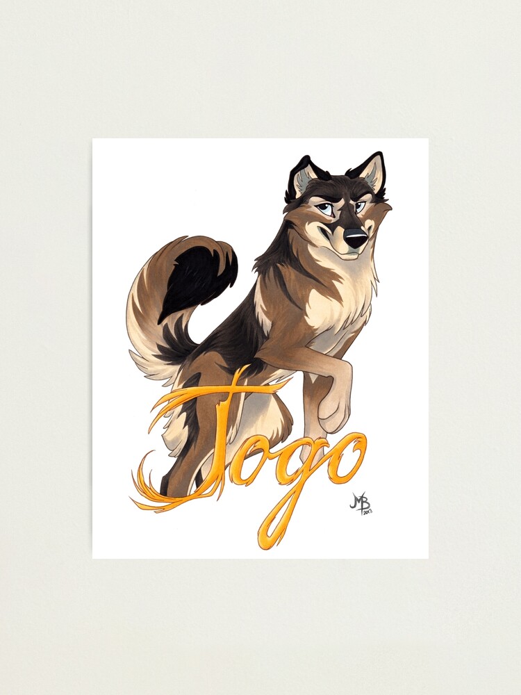 Alternate view of Togo Photographic Print